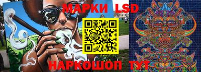 крисы Камышлов