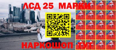 крисы Камышлов