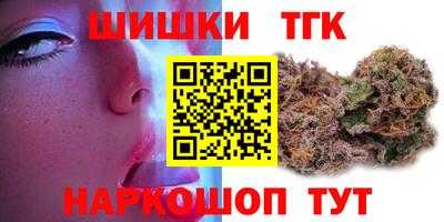 крисы Камышлов