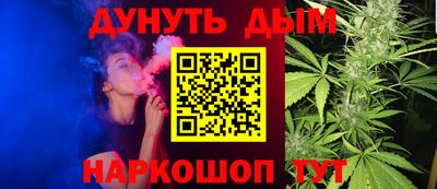 крисы Камышлов