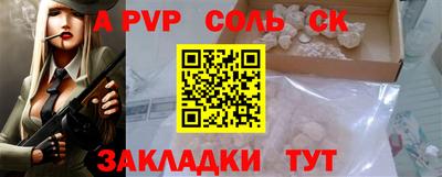 крисы Камышлов