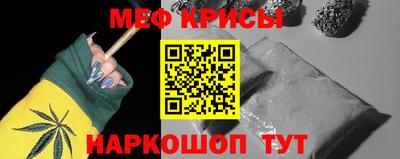 крисы Камышлов